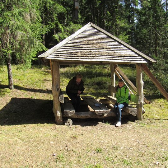 Plokstines-takas.-A.Brazdeikytes-n-1.jpg
