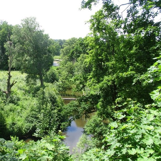 8-Varduvos-krastovaizdzio-draustinis-2008-06-28-n-G-Sidabriene.jpg