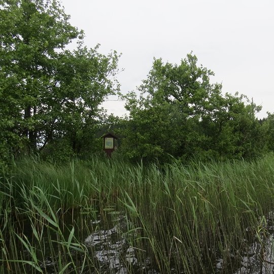 Ilgio-ezero-sala-nSK.jpg