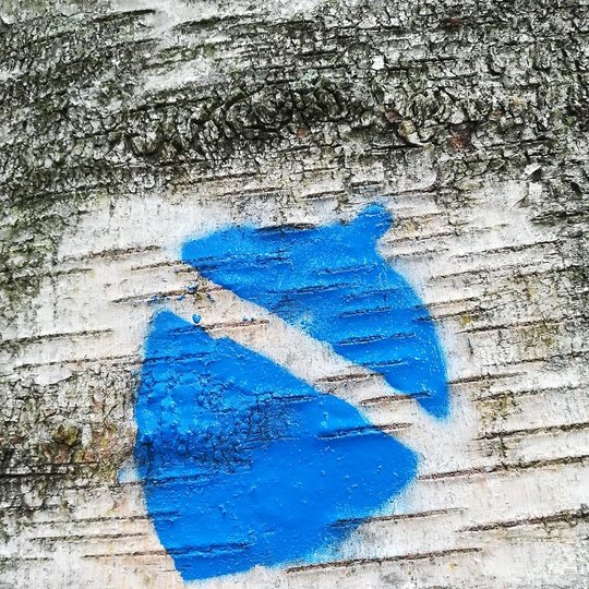 Marking of the pedestrian-bicycle route