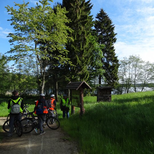 Kumelkakte.-Dviratininkai.jpg