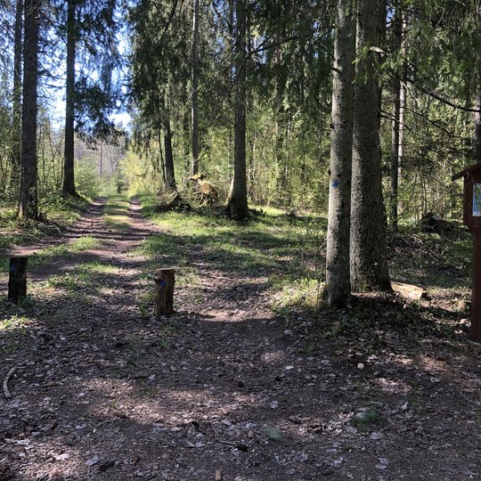 Pėsčiųjų takas prie Ilgio ežero