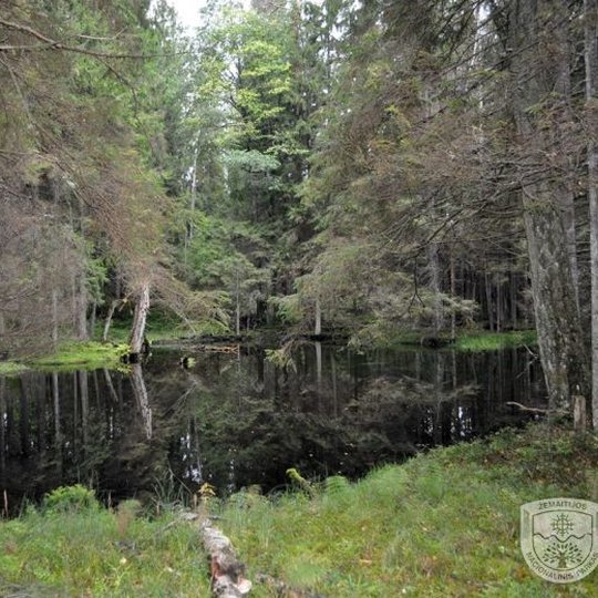 Plokstines-takas.jpg