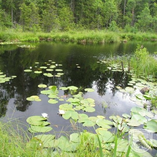 Germanto-valstybinis-krastovaizdzio-draustinis-ez.-Varlis.jpg