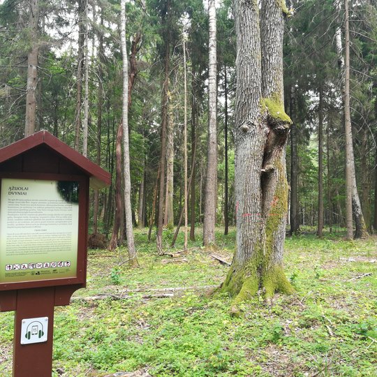 Liepiju_pesciuju_trasa_2019-05-15-40.jpg