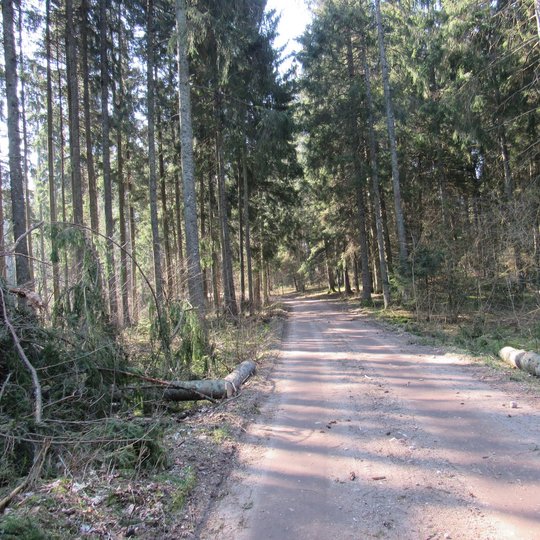 Hiking-biking trail around Ilgis lake