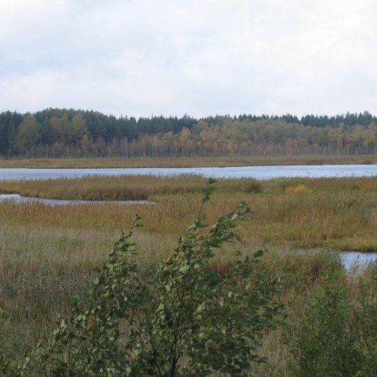 Paveikslėlis1-2.jpg