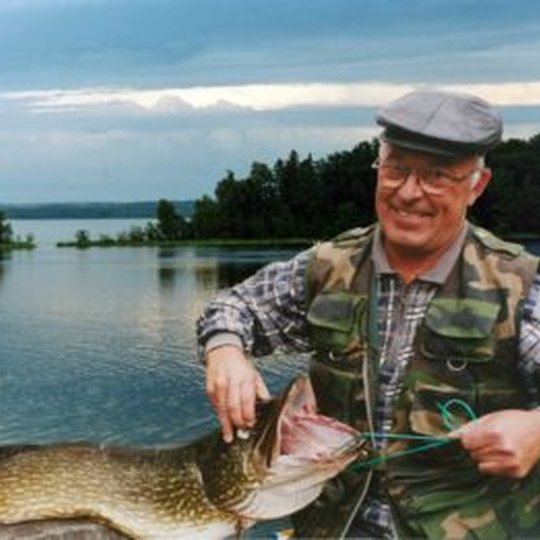 Pike from Plateliai lake