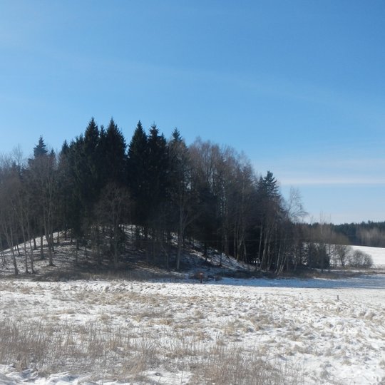 Jazdauskiškių piliakalnis