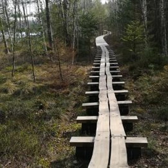 Ilgis lake cognitive trail