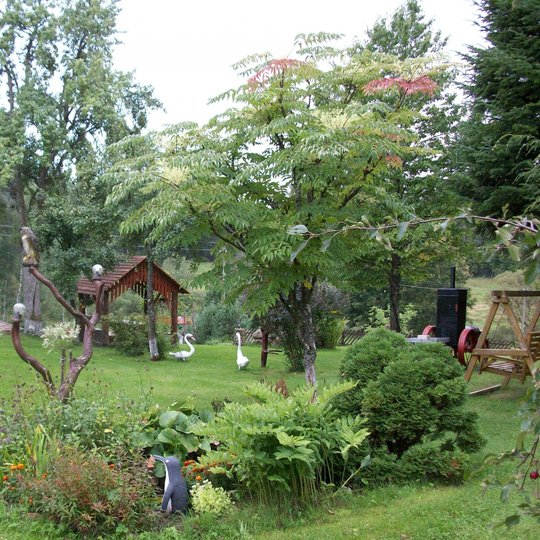 Plokstines-pamiske.Nuotr_.is-asm.arch_.-7-min.jpg