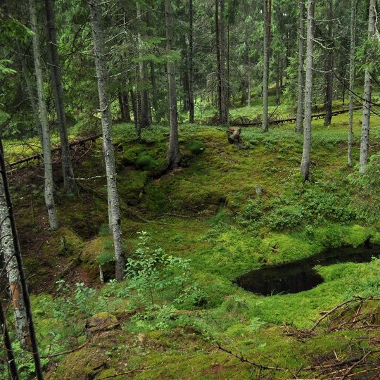 2.-2010-07-28_nSS-4.jpg