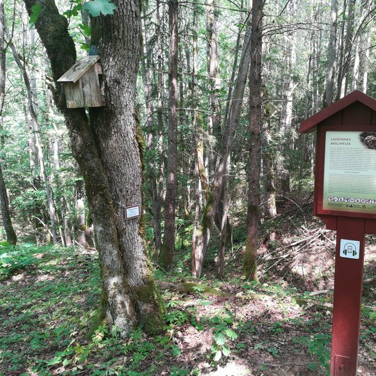 Liepiju_pesciuju_trasa_2019-05-15-16.jpg