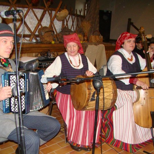Folkloro ansamblio "Platelee" muzikantai