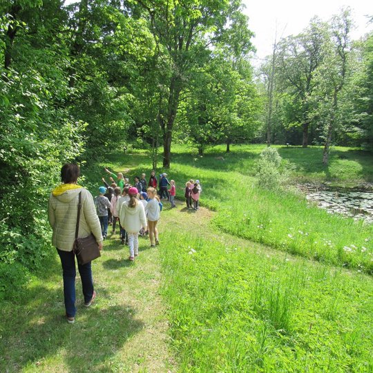 In "Acorns and chestnut" trail