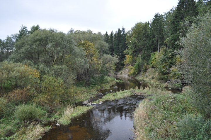 4-Gandingos-krastovaizdzio-draustinis_2011-09-29-n-G-Sidabriene.jpg