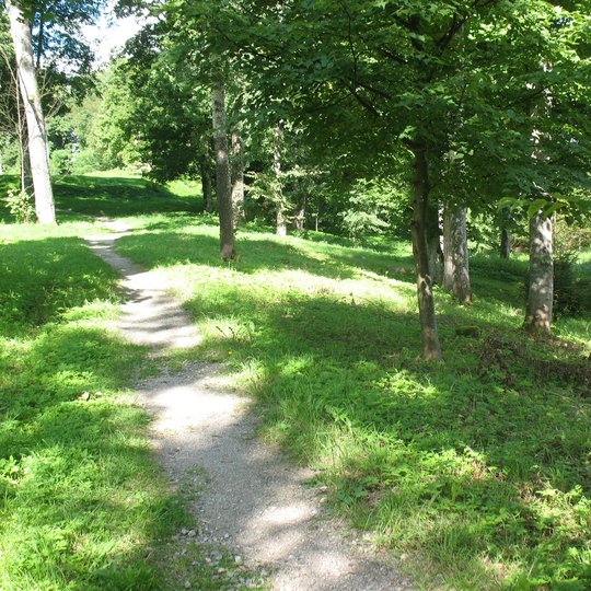 "Acorns and chestnut" trail
