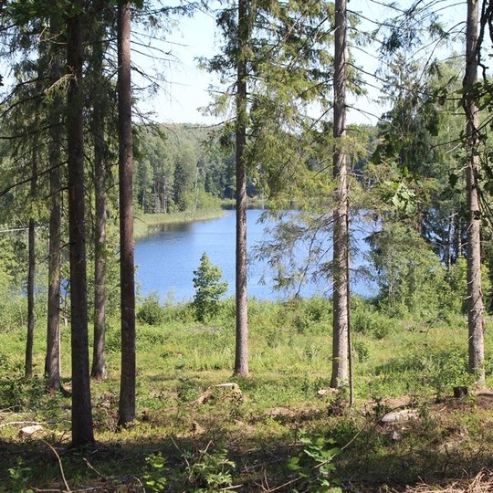3-Kęstaičių-kaimo-apylinkės-nG-Sidabrienės.jpg