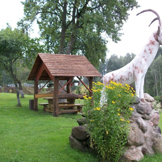 Plokstines-pamiske.-uotr.-is-asm.-archyvo-2-min.jpg