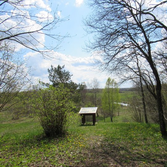 The path of the poet V. Mačernis