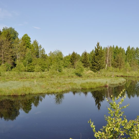 9-Uzpelkiu-TD-2011-05-21_10-34-nSG.jpg