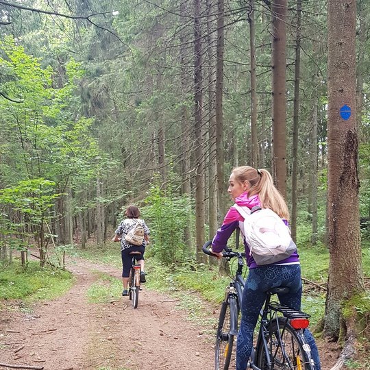 Hiking-biking trail around Ilgis lake