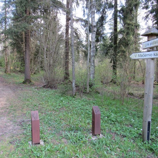 The path of the poet V. Mačernis