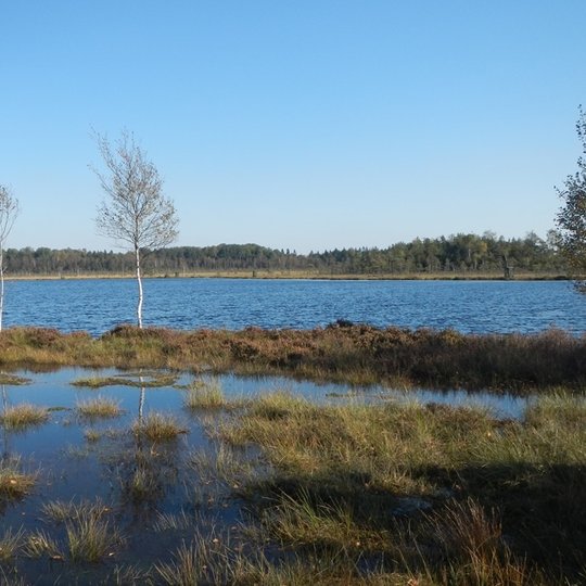 6-Reiskiu-tyro-pelke-nD-Abrutes.jpg