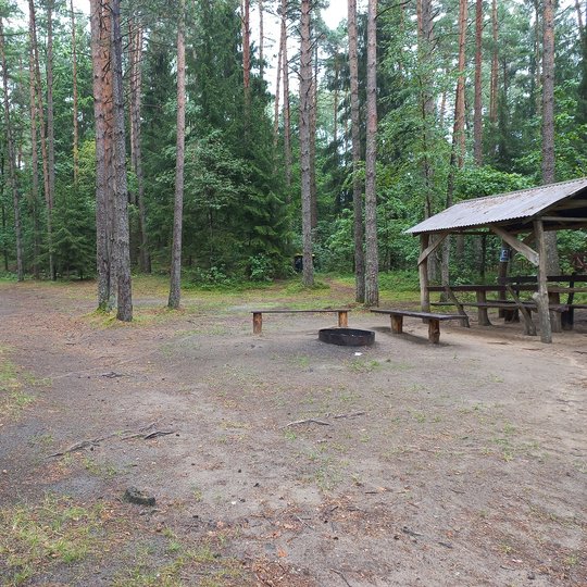 Vytauto Danieliaus Jankauskio "Plokštinės stovyklavietė"