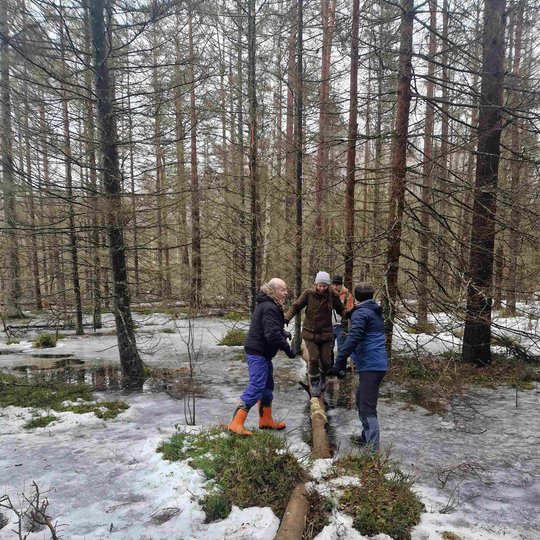 Žmonės keliasi rąstu per upelį