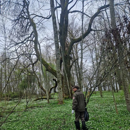 Žmogus su šiukšlių maišu gamtoje