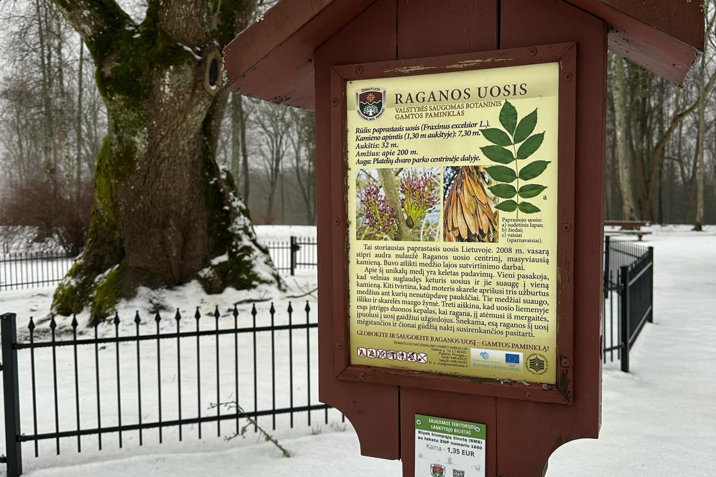 Iliustracinė nuotrauka