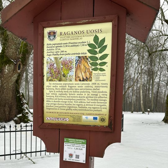 Iliustracinė nuotrauka