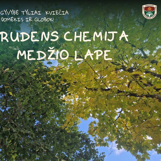 Koliažas