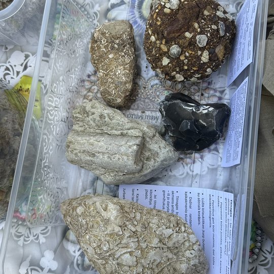 Iliustracija
