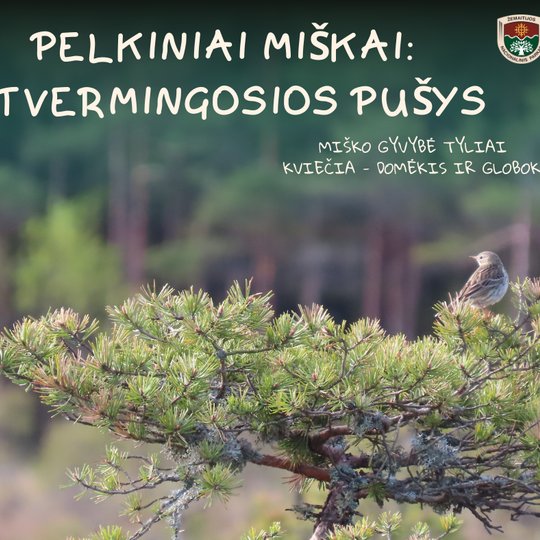 Pušis, medžiai, paukštis