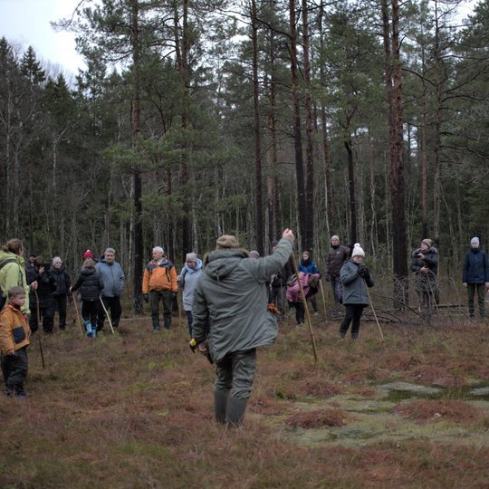 Paveiklėlis, kuriame yra grupė žmonių miške.