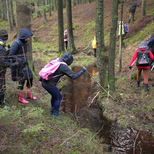Paveiklėlis, kuriame yra grupė žmonių miške.