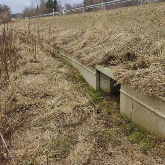 Požeminės varliagyvių perėjos