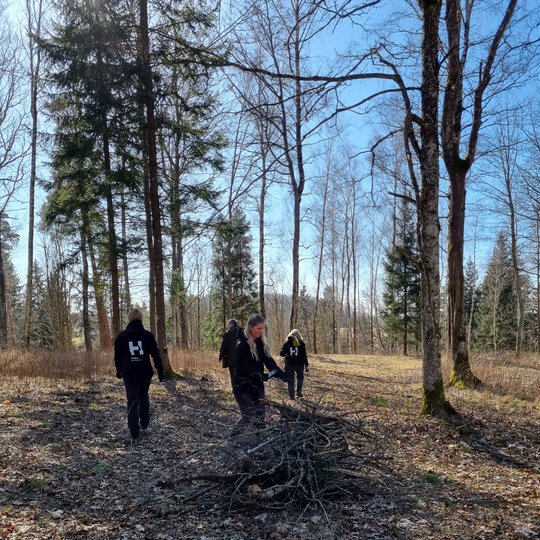 moterys, talka, gamta