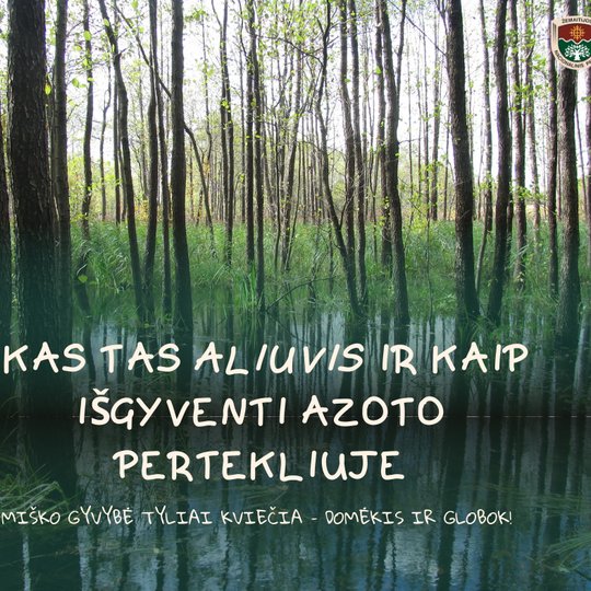 Iliustracija