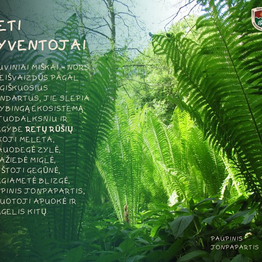 Iliustracija