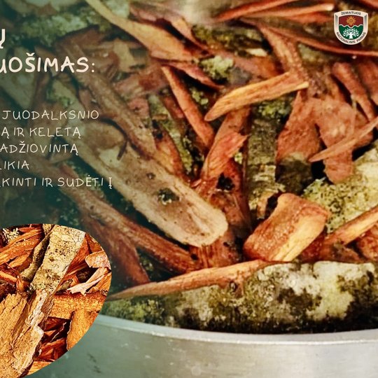 Iliustracija