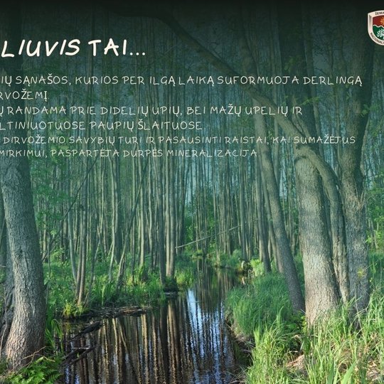 Iliustracija