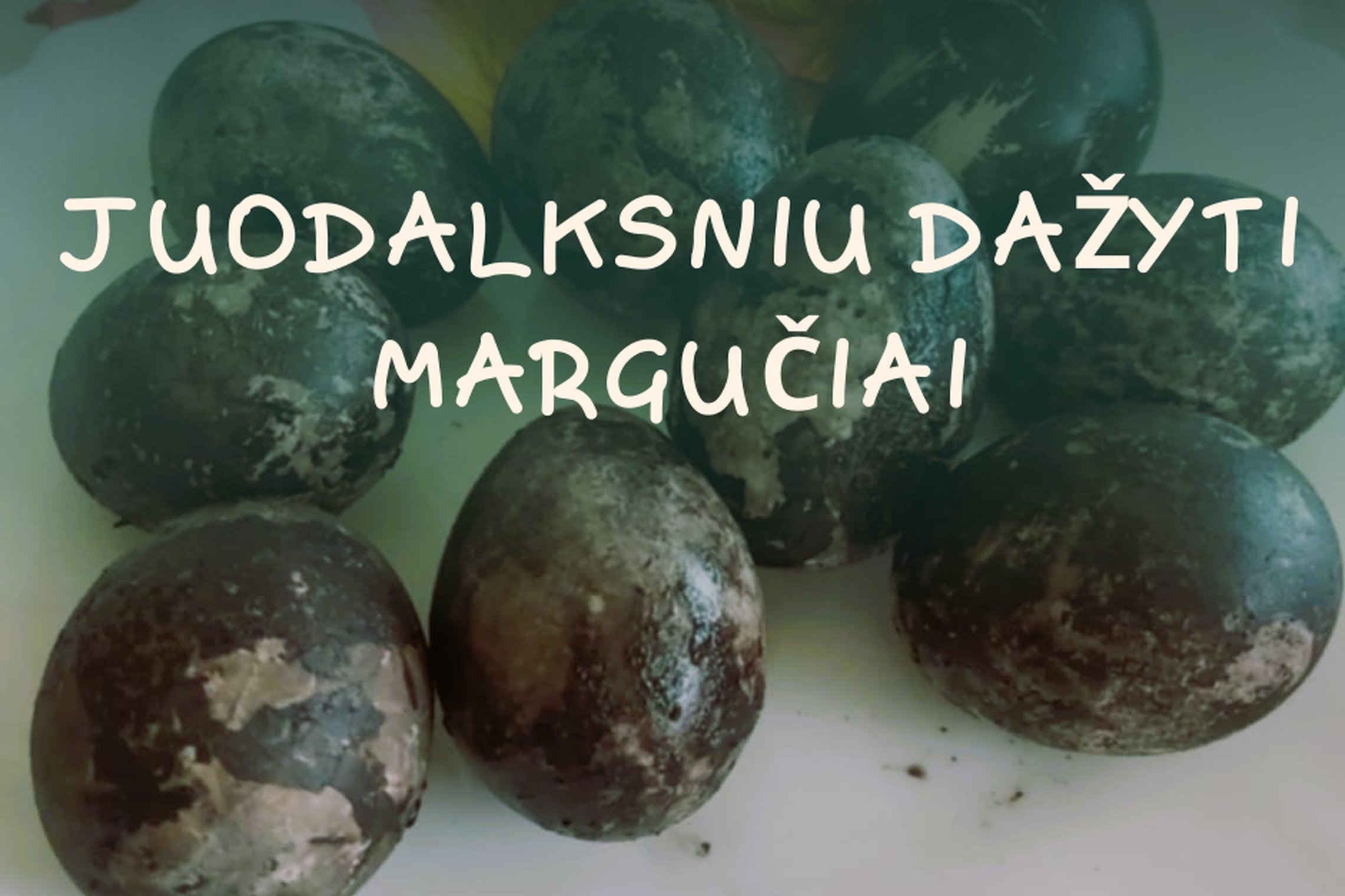 iliustracinė nuotrauka