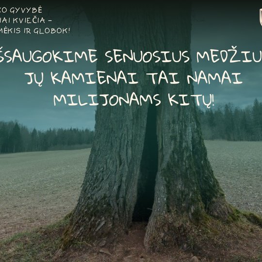 Iliustracija