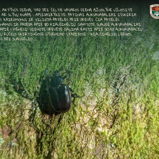 Iliustracija