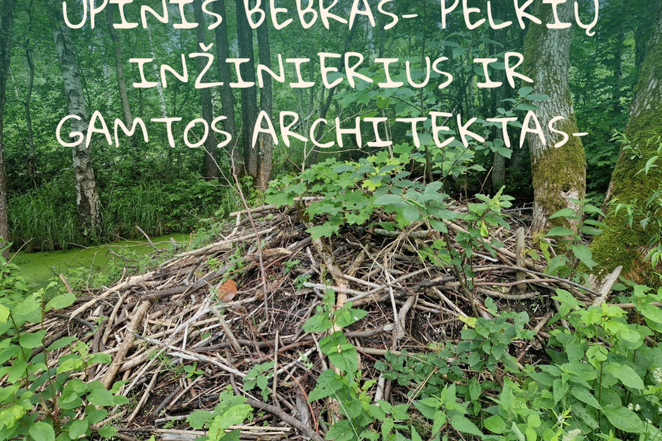 Iliustracija