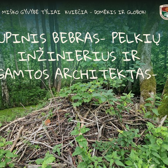 Iliustracija