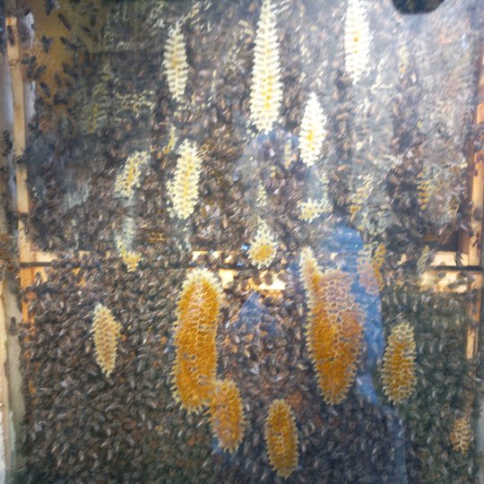 Iliustracija